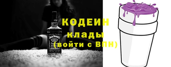 гашик Переславль-Залесский