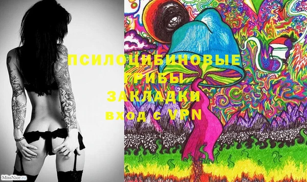 прущая мука Абаза