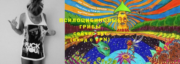 прущая мука Абаза