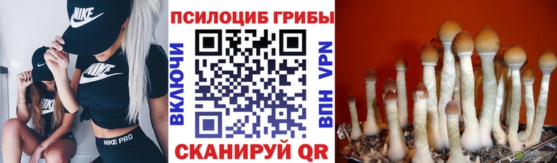 Псилоцибиновые грибы прущие грибы  где купить   Никольск 