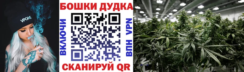 ссылка на мегу как войти  где можно купить наркотик  Никольск  Шишки марихуана White Widow 
